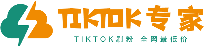 tiktok关注_tiktok增粉_刷粉_涨粉 全网最低价