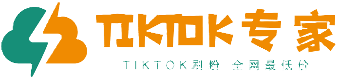 tiktok关注_tiktok增粉_刷粉_涨粉 全网最低价